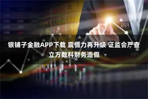 银铺子金融APP下载 震慑力再升级 证监会严查立方数科财务造假