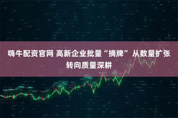 嗨牛配资官网 高新企业批量“摘牌” 从数量扩张转向质量深耕